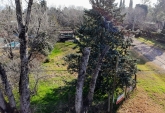 Terrenos - Roldan - Venta