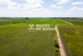 Terrenos - Alvear - Venta