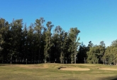 Terrenos - Oliveros - Venta
