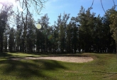 Terrenos - Oliveros - Venta