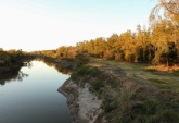 Terrenos - Oliveros - Venta