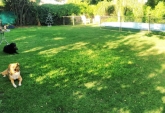 Casas - Roldan - Venta