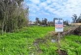 Terrenos - Ibarlucea - Venta