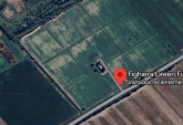 Terrenos - Fighiera - Venta