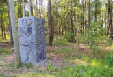 Terrenos - Oliveros - Venta