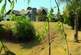 Terrenos - Oliveros - Venta