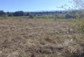 Terrenos - Los Reartes - Venta