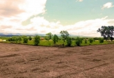 Terrenos - Los Reartes - Venta