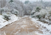 Terrenos - Los Reartes - Venta