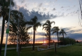 Terrenos - Arroyo Seco - Venta