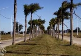 Terrenos - Arroyo Seco - Venta