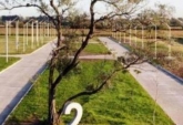 Terrenos - Alvear - Venta