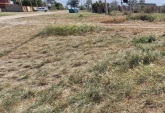 Terrenos - Andino - Venta