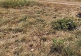 Terrenos - Andino - Venta