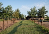 Terrenos - Rosario - Venta