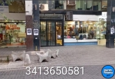 Locales - Rosario - Venta