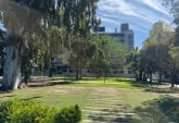 Departamentos - Rosario -  Alquiler