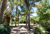Casas - Roldan - Venta
