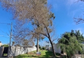 Terrenos - Andino - Venta