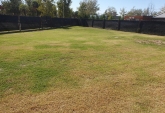 Terrenos - Roldan - Venta