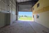 Galpones / Dep贸sitos - Roldan -  Alquiler