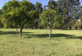 Terrenos - Rosario - Venta