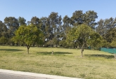 Terrenos - Rosario - Venta