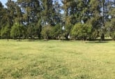 Terrenos - Rosario - Venta