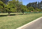 Terrenos - Rosario - Venta