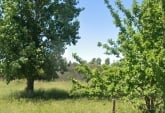 Terrenos - Alvear - Venta
