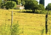 Terrenos - Victoria - Venta