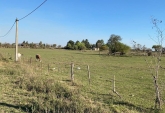 Terrenos - Victoria - Venta