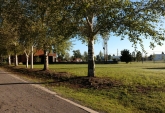 Terrenos - Rosario - Venta