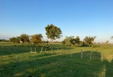 Campos - Otra Ciudad - Venta