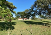 Campos - Otra Ciudad - Venta