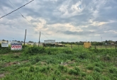 Campos - Venta