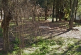 Terrenos - Roldan - Venta