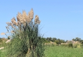 Terrenos - Roldan - Venta