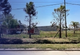 Terrenos - Roldan - Venta