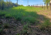 Campos - Rosario De Tala ,est.tala - Venta