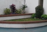 Departamentos - Rosario -  Alquiler