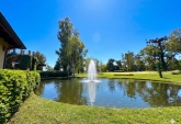 Terrenos - Ibarlucea - Venta