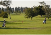 Terrenos - Ibarlucea - Venta