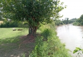 Terrenos - Andino - Venta