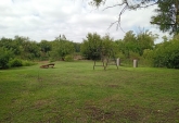 Terrenos - Andino - Venta