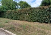 Terrenos - Zavalla - Venta