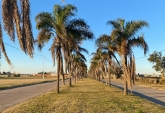 Terrenos - Arroyo Seco - Venta