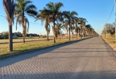 Terrenos - Arroyo Seco - Venta