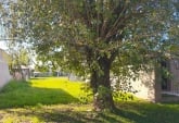 Terrenos - Alvear - Venta