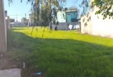 Terrenos - Alvear - Venta